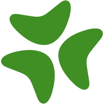 Bloomerang Logo