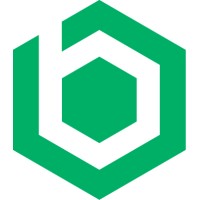 Brinqa Logo