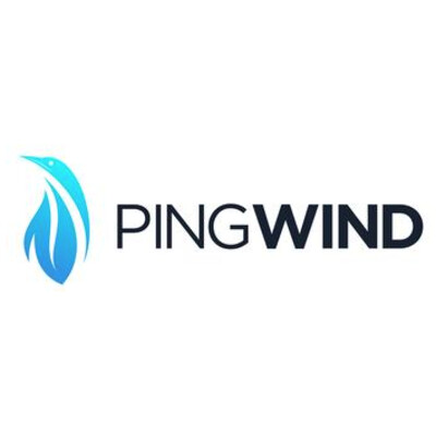 PingWind Inc. (SDVOSB) Logo