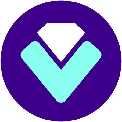 Voldex Logo